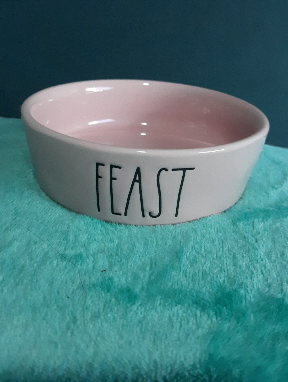 Rae Dunn "Feast" Pink Cat Bowl New Ceramic Magenta Pet Dish 5 Inch